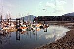 North Cowichan Skyline